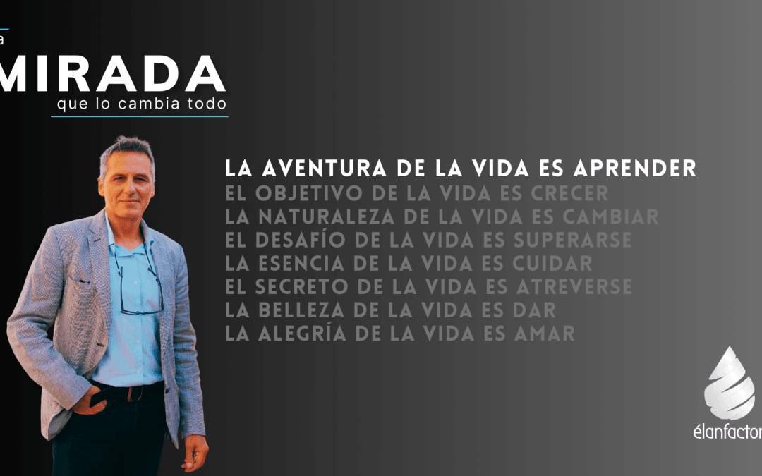 la Mirada que lo cambia todo, la aventura de la vida es aprender.